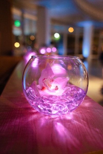 Aqua Gems With Floral Design Led Lights