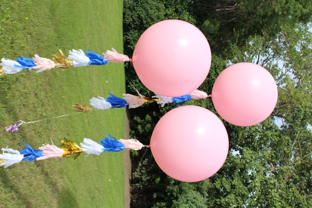 Pink Geronimo Balloons Great For Any Themed Event